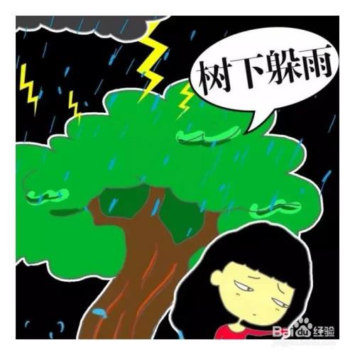 暴雨时,如伴有雷电,应立即到室内避雨,千万不要在树下或广告牌下