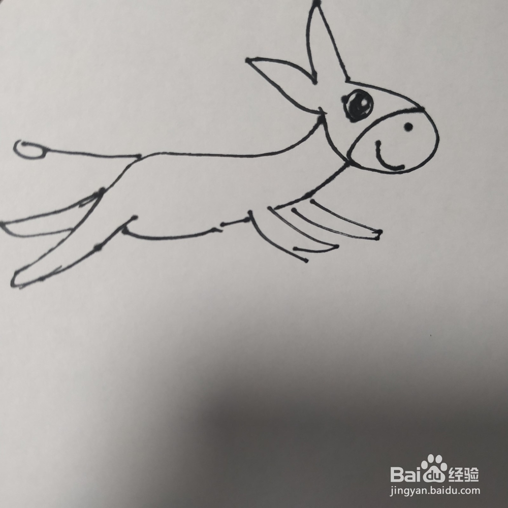 毛驴的简笔画技法5