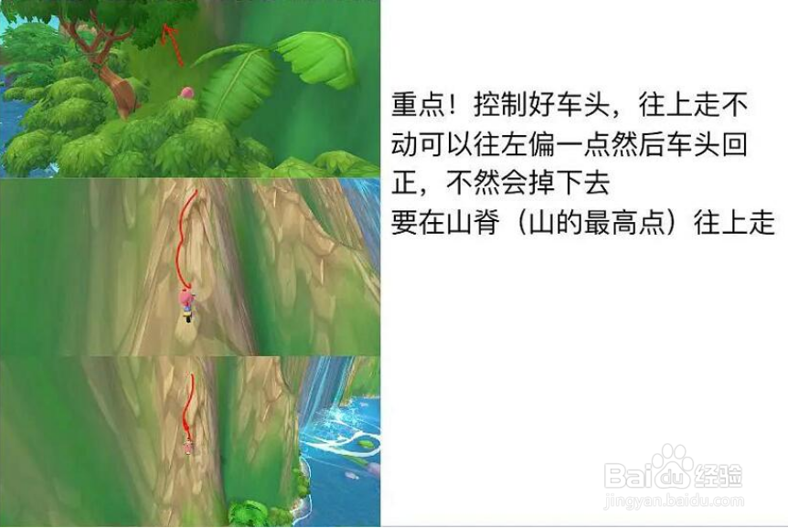 摩尔庄园浆果丛林上山攻略