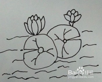 怎么画荷花的简笔画？
