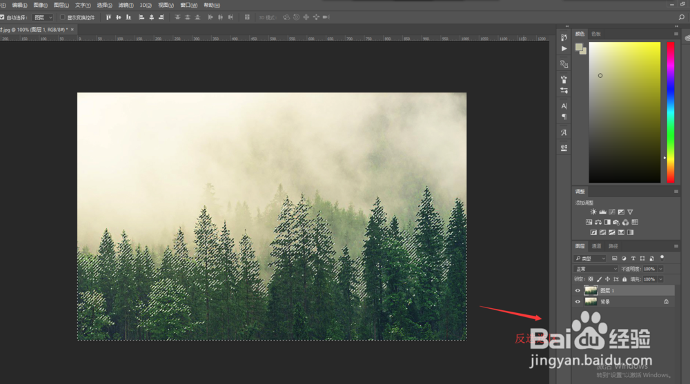 PS中怎么将松树林抠图抠出来
