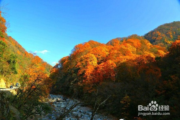 光雾山旅游攻略