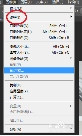 ps如何把图片调出黑白照