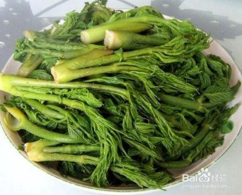 东北刺老芽怎么吃