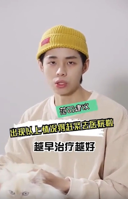 猫咪吐黄水怎么办
