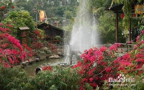 深圳白领周末休闲推荐之深秋探寻田园古屋