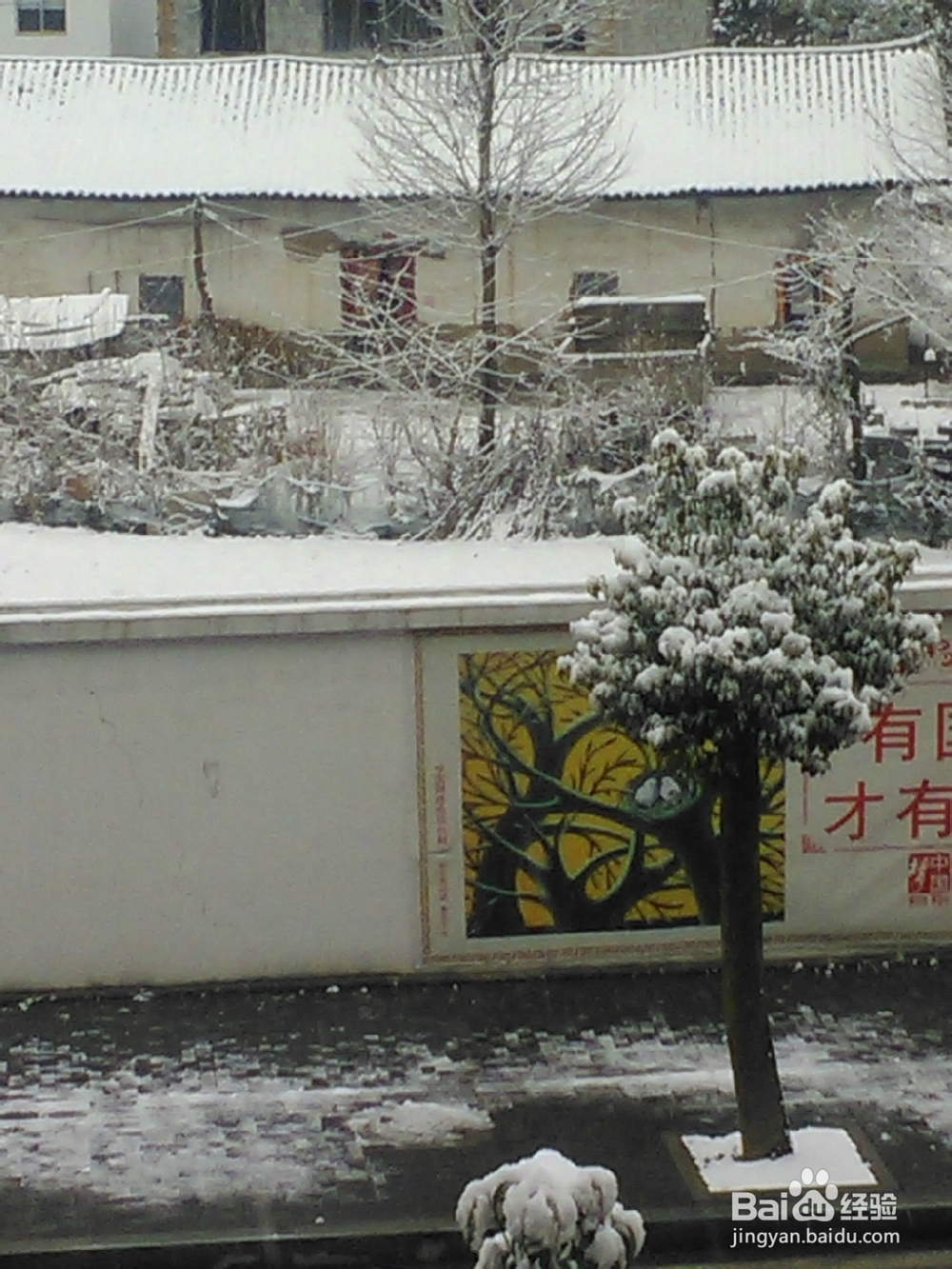 租房应该怎么选择