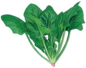 每天吃这些,什么美容和保健品都不用了(五)