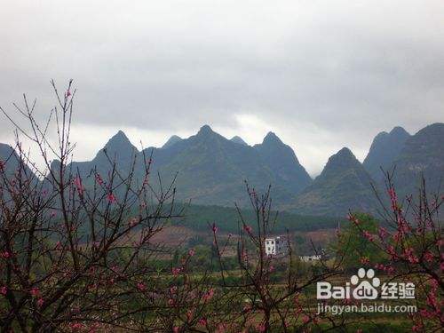 桂林恭城2012年第十届桃花节大型主题旅游攻略