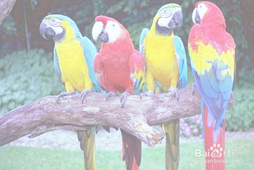 Mathematica的图像处理基础