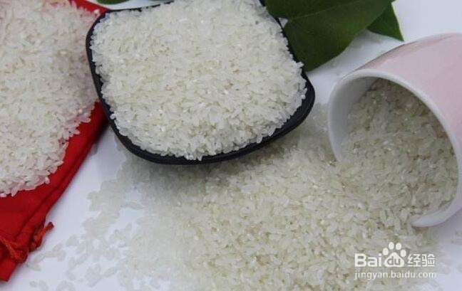 怎么治疗脱发？为什么掉头发？