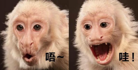 求副词、介词、连词、助词、叹词、拟声词各五个！！！！