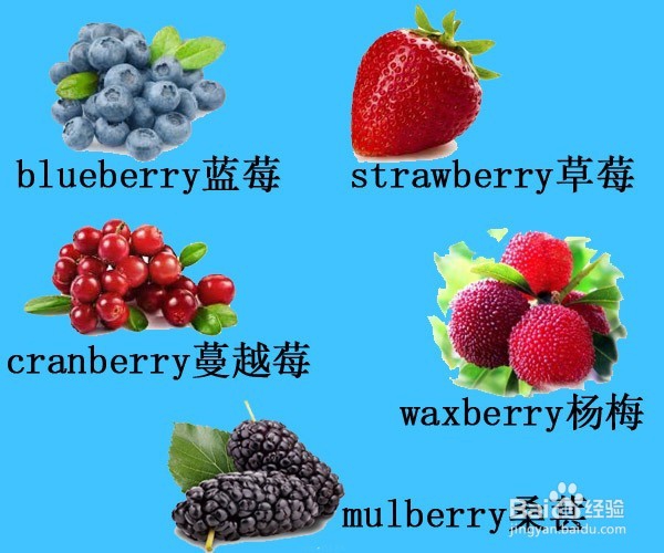 English Words:归类记忆各种水果(共28种水果)