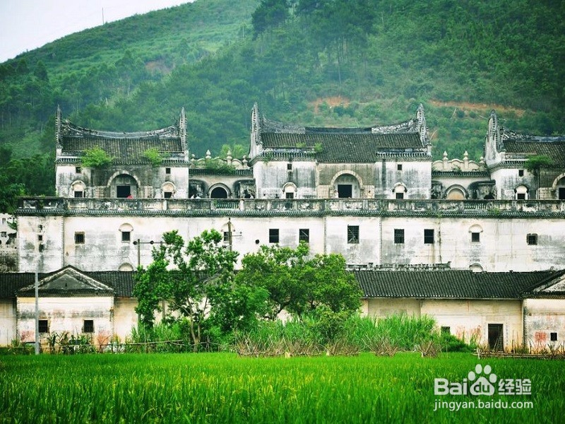 广东如何建设美丽乡村