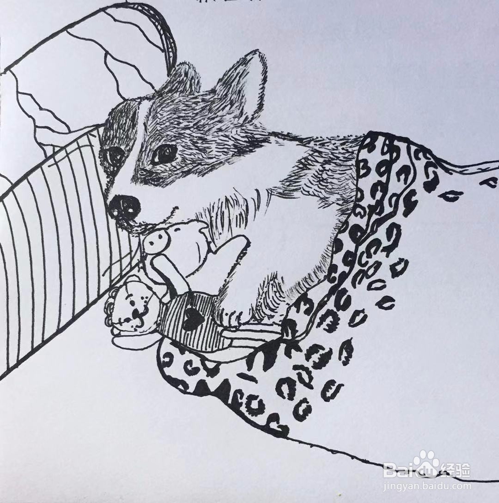 茉莉手绘之萌宠柯基