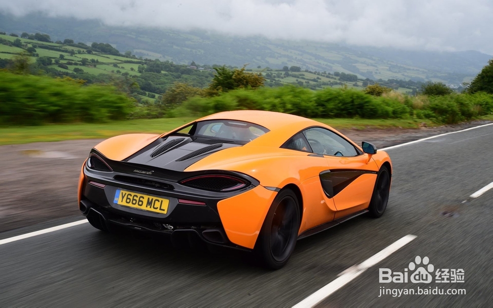 自己开车撞树上保险怎么赔