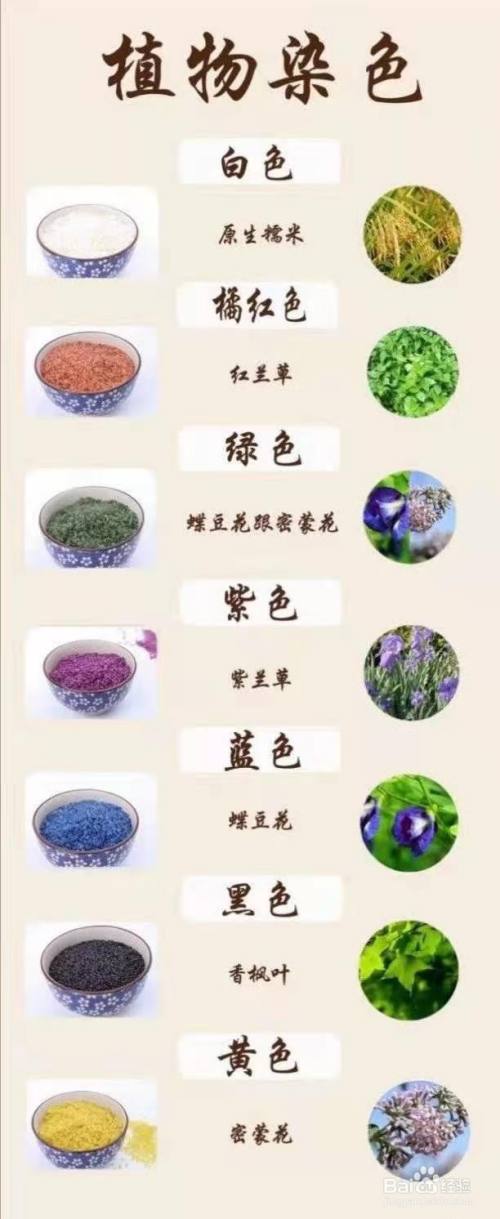 蝶豆花(蓝蝴蝶)怎么吃?