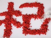 枸杞子一天吃多少为宜