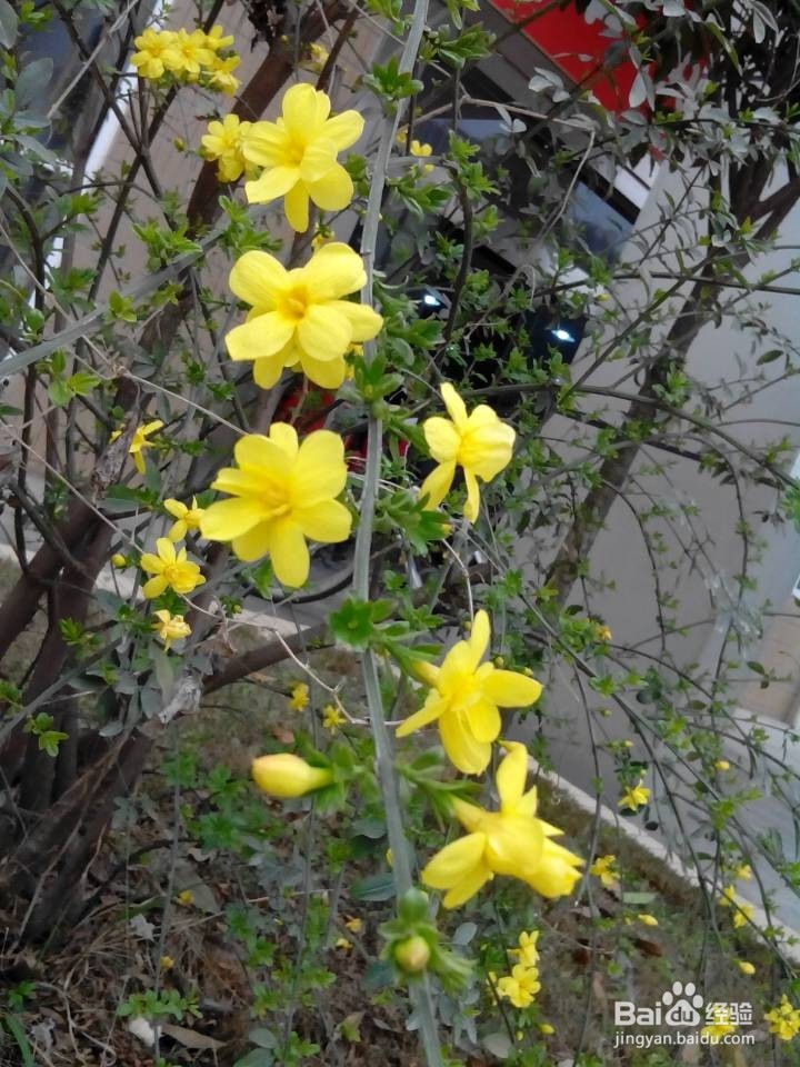 精彩女人,学会时尚