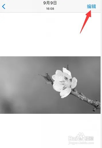 苹果手机照片变黑了如何恢复