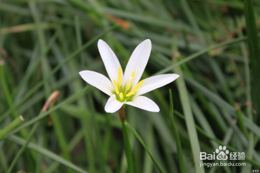 怎么坚持做好一件事