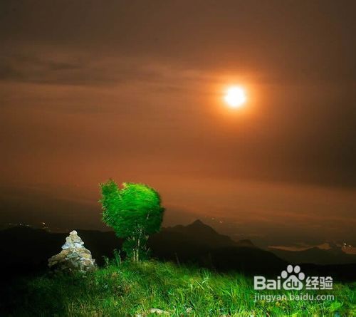 武功山公交线路