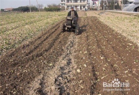 三七多少钱,点击查看三七多少钱