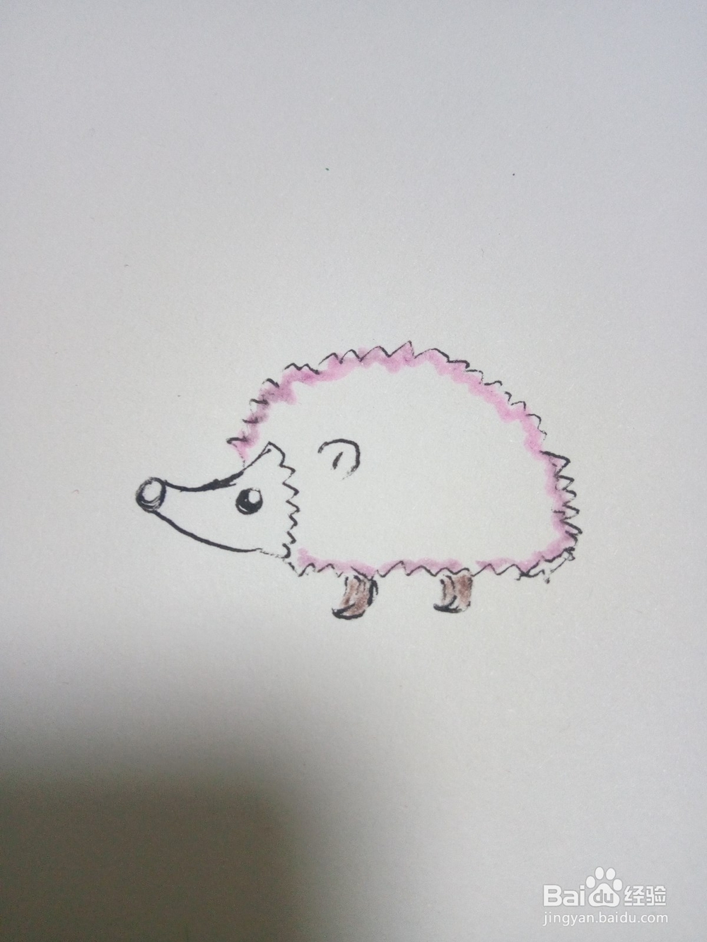 幼儿简笔画小刺猬