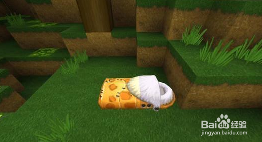 迷你世界怎么驯服豹子当坐骑
