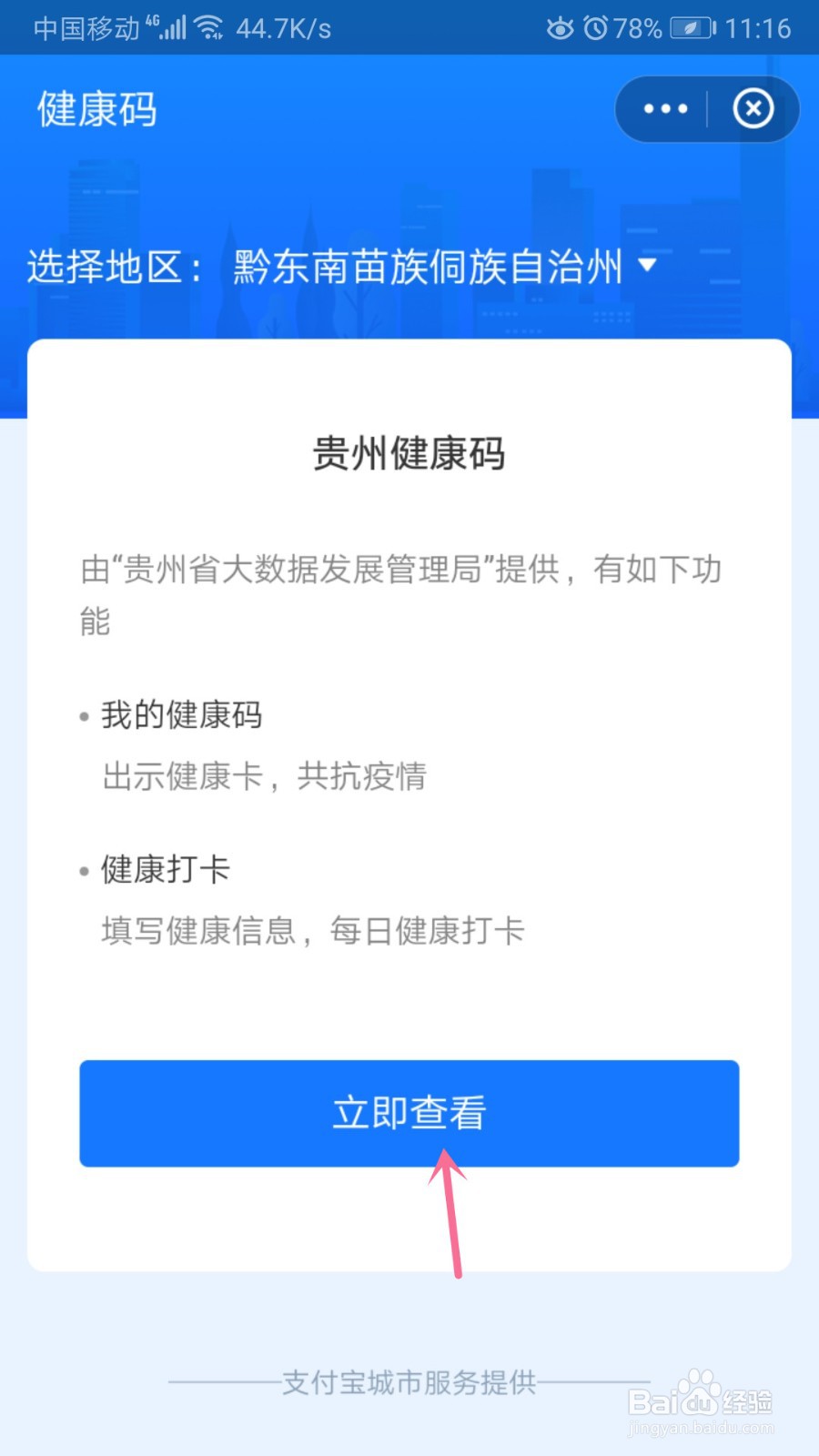 支付宝怎么查看核酸检测记录