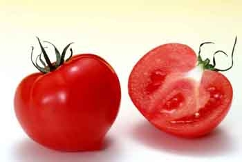 <b>西红柿有什么作用</b>
