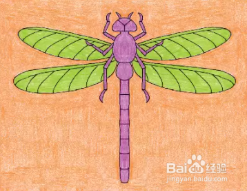 如何绘制蜻蜓