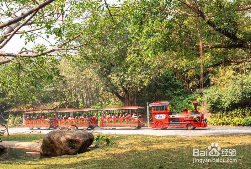 广州长隆野生动物世界攻略3