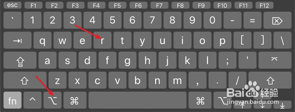 苹果电脑怎么输入版权符号商标符号人民币符号