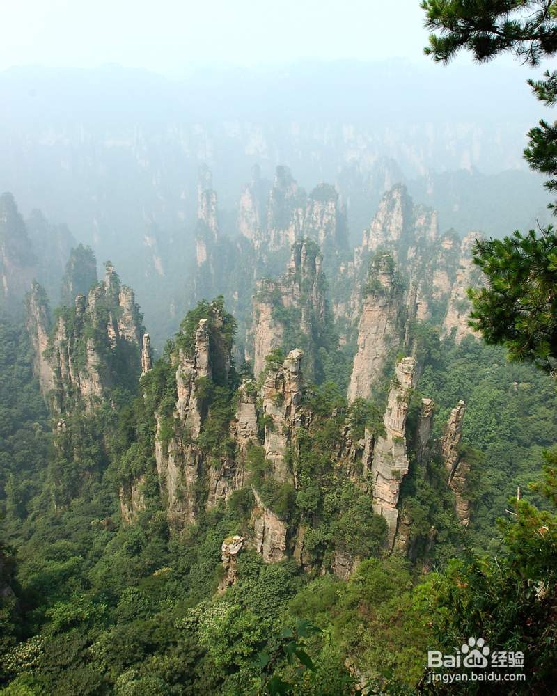 张家界自助游游记攻略