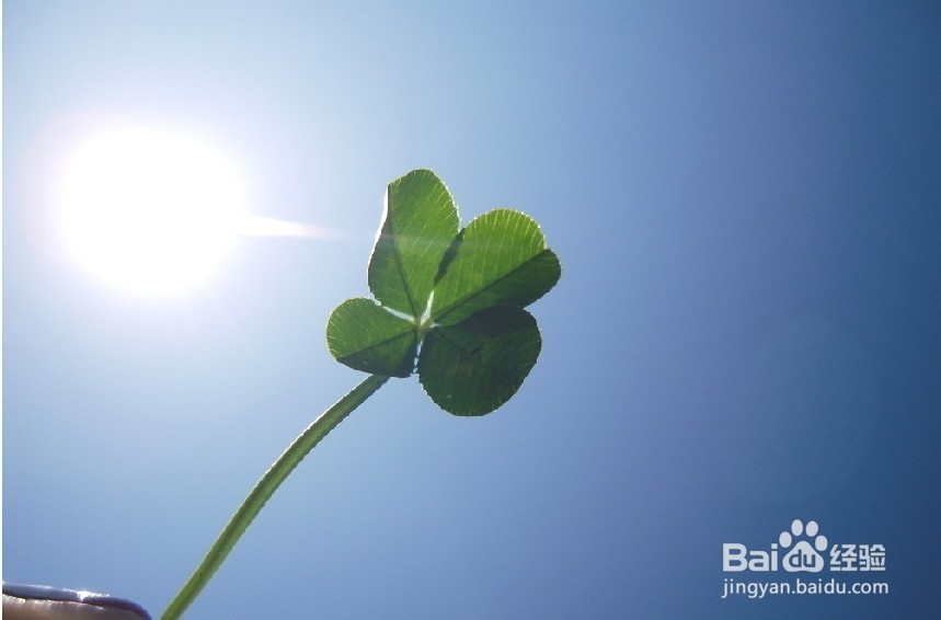 年轻人需做的10件事