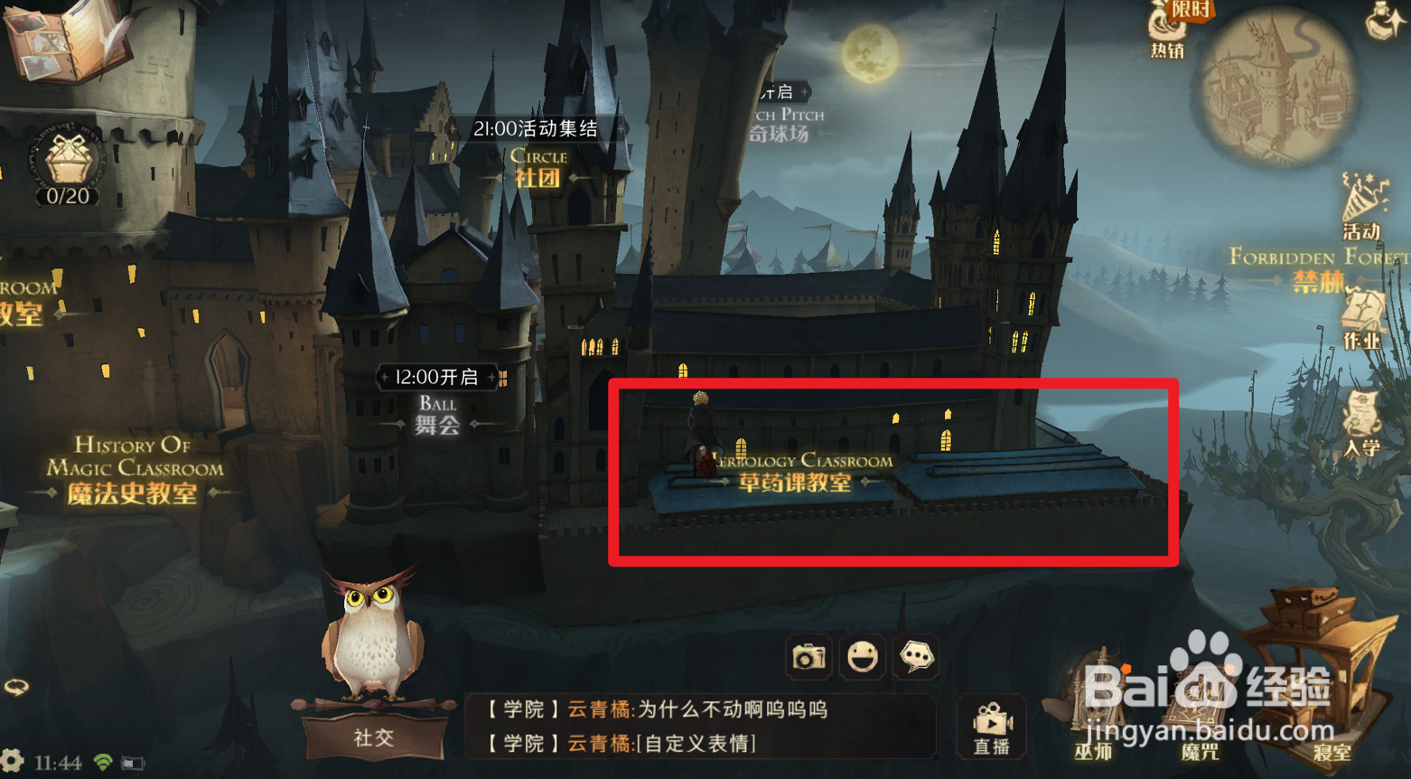 哈利波特魔法觉醒曼德拉草拼图在哪