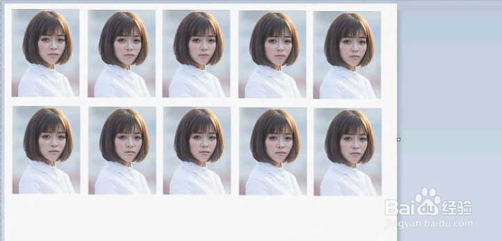 怎么用画图做证件照