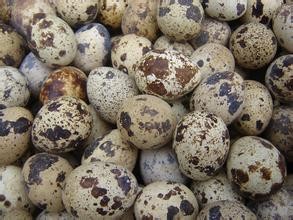 鹌鹑蛋可以缓解失眠