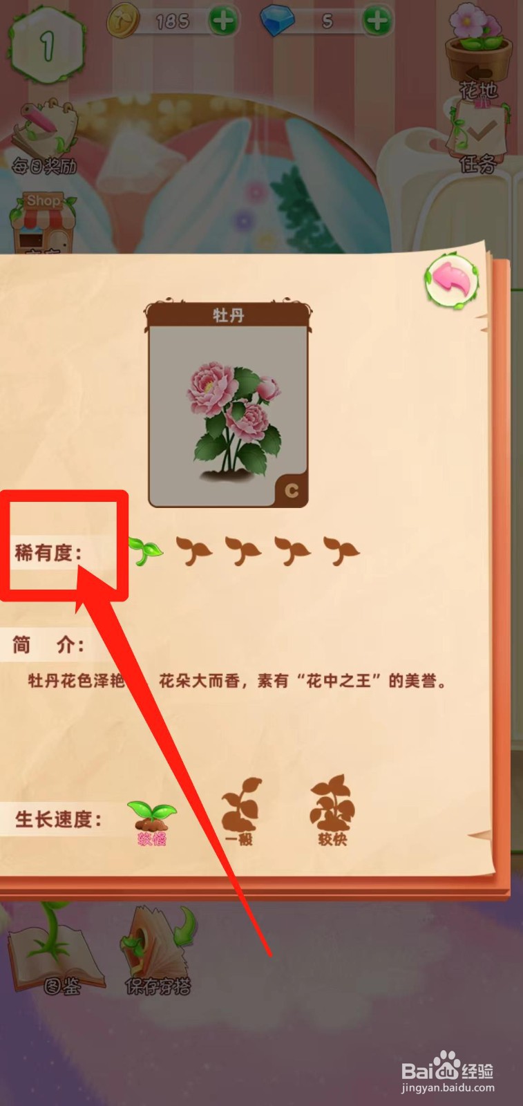 花花姑娘之魔法花园如何查看牡丹稀有度
