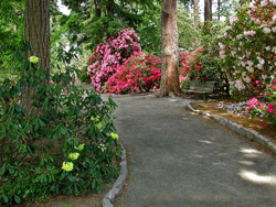 介绍6种浪漫温馨的结婚地点