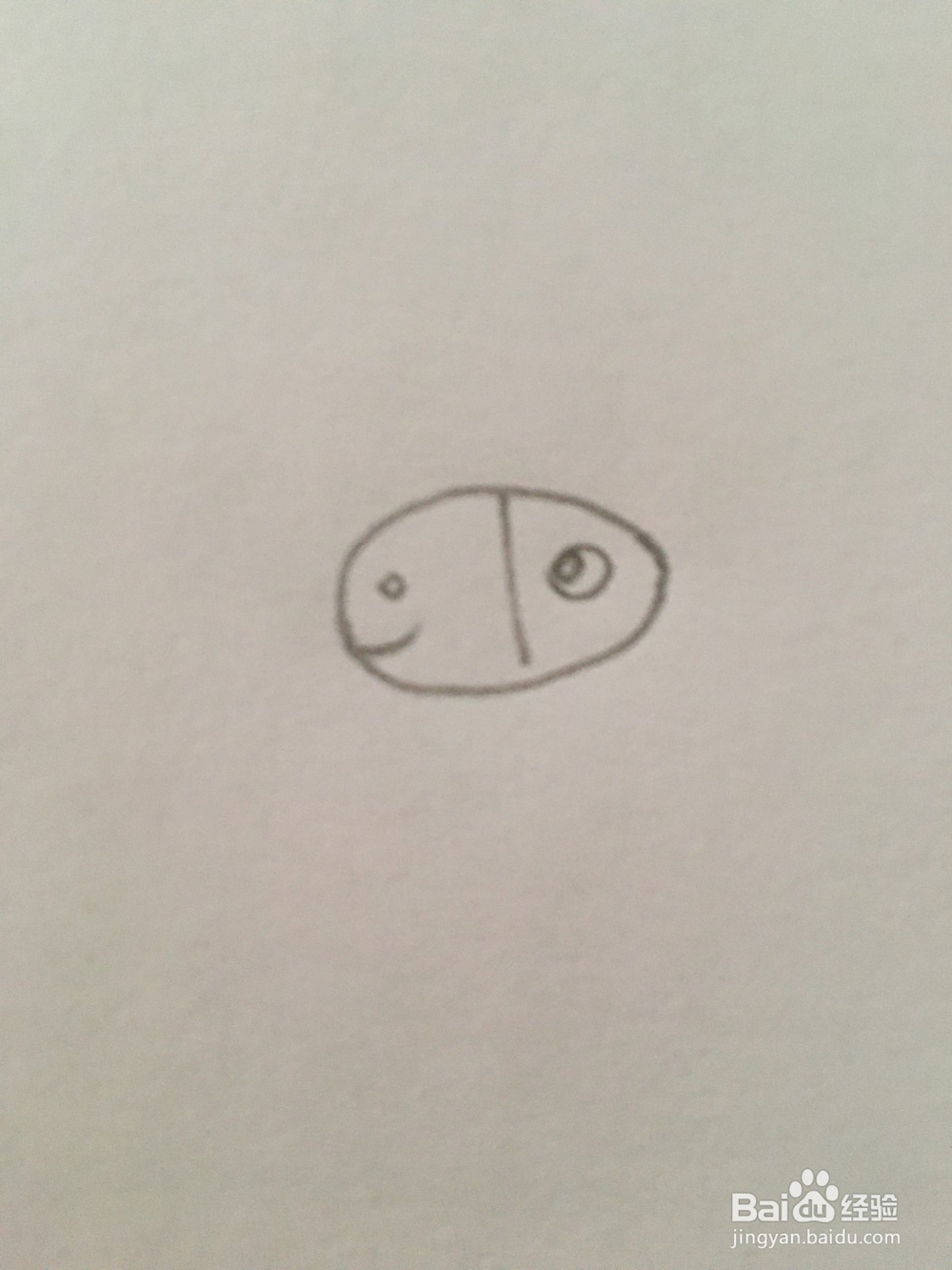 简笔画动物小毛驴
