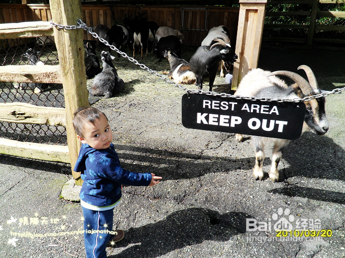 拾海的孩子&亲亲小动物(组图)