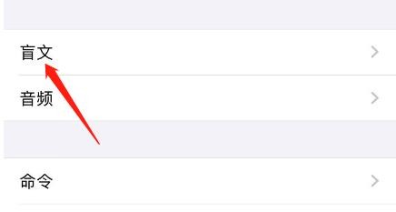 iPhone旁白盲文输入怎么设为简写盲文
