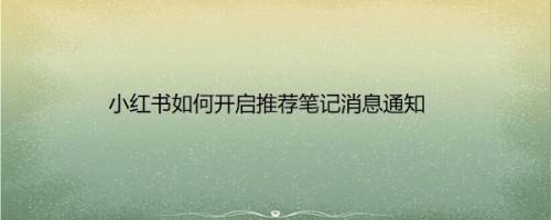 小红书如何开启推荐笔记消息通知