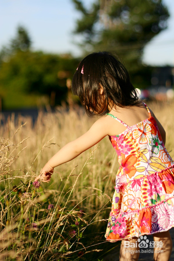 菲比两岁三个月成长记录