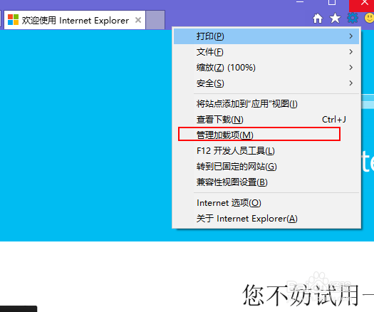 升级win10系统后IE浏览器无法看视频怎么办