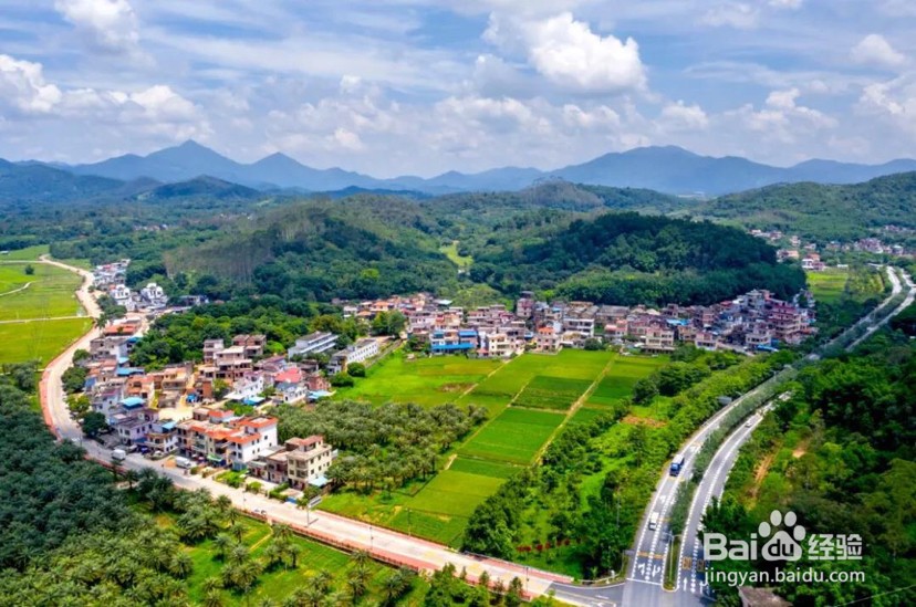 朗基如何建设乡村农业产业园