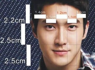 脸部的骨骼肌肉结构及面部审美