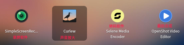 Deepin下视频录制处理